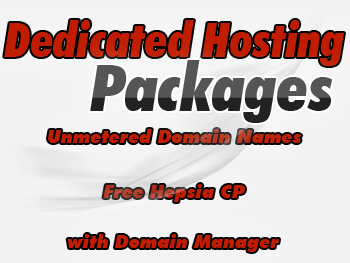 Budget dedicated hosting plans